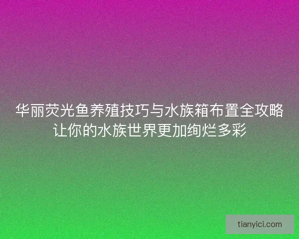 华丽荧光鱼养殖技巧与水族箱布置全攻略让你的水族世界更加绚烂多彩