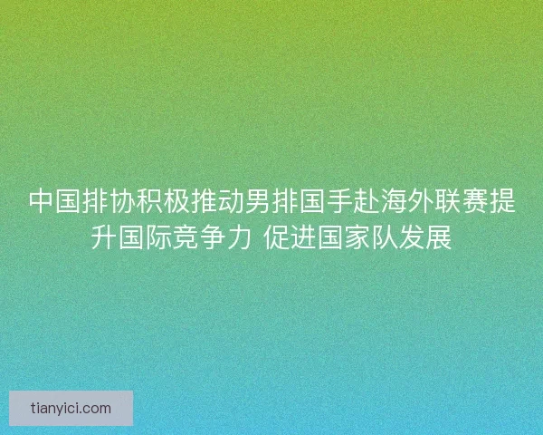 中国排协积极推动男排国手赴海外联赛提升国际竞争力 促进国家队发展